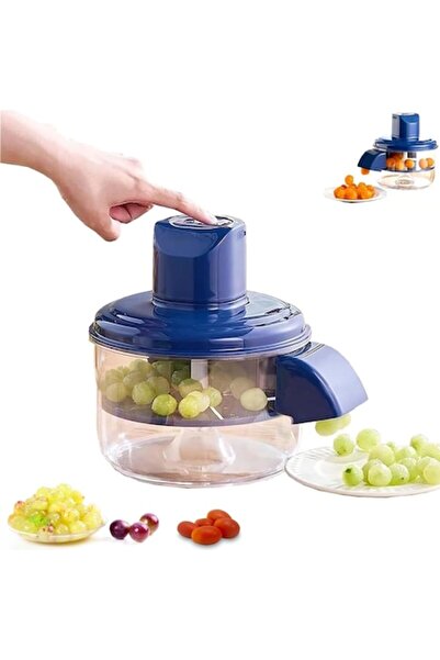 UNİBOX Automatic Cleaning Machine for Grapes, Cherry Tomatoes or Garlic with ...