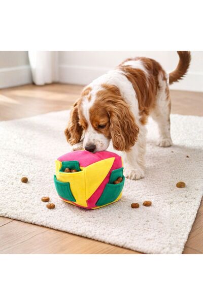 Pawtools Zeka Küpü Köpek Oyuncağı (Küçük-Orta Boy Köpekler)