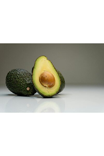 Tropical Bahçem Hass Avokado 10 Adet