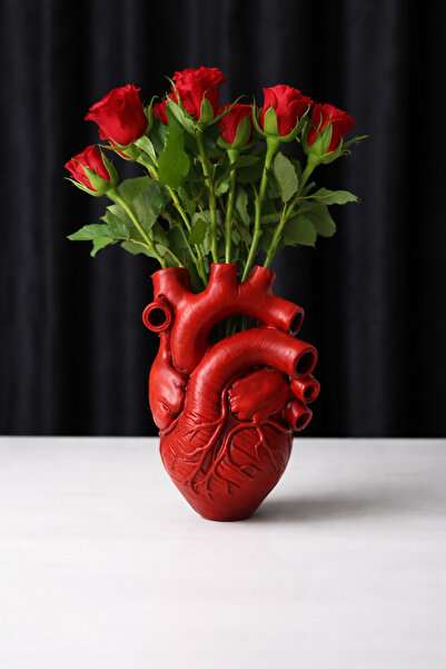 3D FABRİKAM Aşkın Kalbi Anatomik Kalp Vazo ♥️
