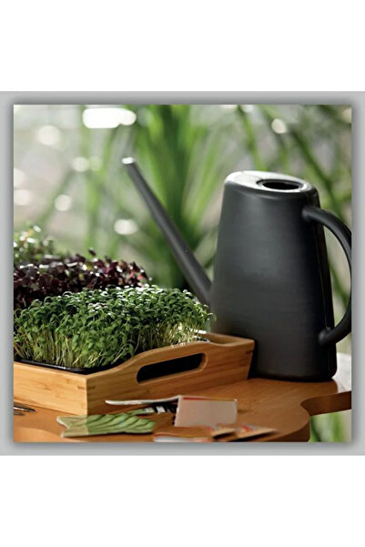 polivahome Flower Watering Container Watering Jug Watering Can Anthracite Col...