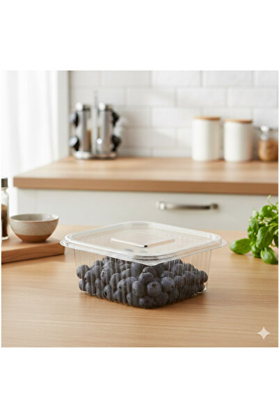Ta-Fu Global Flat Lid Non-Spilling Plastic Storage Container