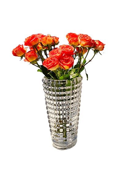 PUFO Elegant Decorative Vase Made of Glass for Flowers, 17 cm- Modern Design ...
