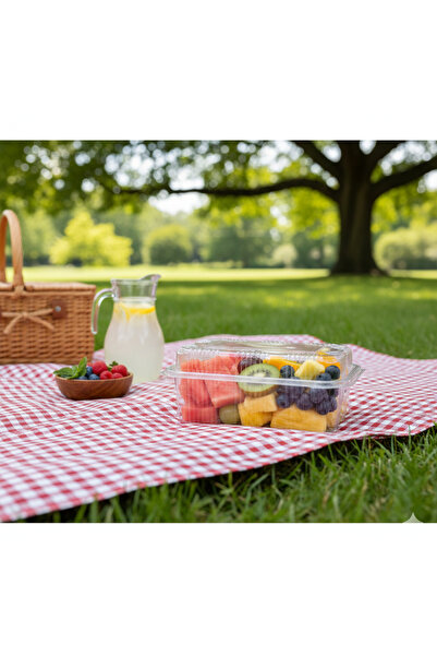 Ta-Fu Global High-Capacity Airtight Container Plastic Storage