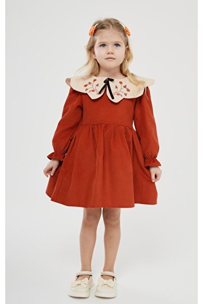 Pinkitokids Girl's Embroidered Collar Velvet Dress