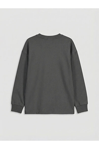 LC Waikiki Γκρι μπλουζάκι από χτενισμένο βαμβάκι με στάμπα Harry Potter για α...