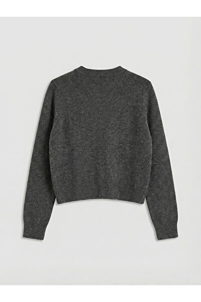 LC Waikiki Anthracite Crew Neck Women's Knitwear Cardigan