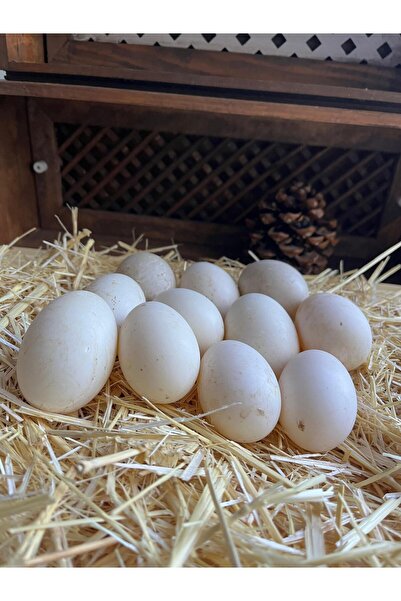 Little Sister's Farm Ördek Yumurtası 15'li