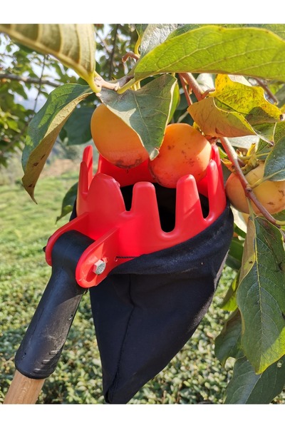 özgürce Pratik Akrobatik Meyve Toplama ve Sepet Aparatı, Kolay ve Hızlı Kullanım