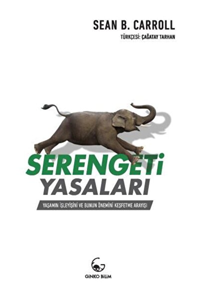 Generic Brand Serengeti Yasaları