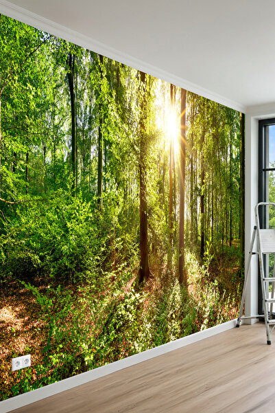 MİRAZAWALL Güneş Işıklı Yeşil Orman Desenli Tek Parça Tekstil Duvar Kağıdı