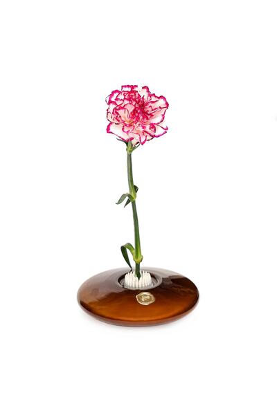 Missi Flora Design-Elegance Vază din sticlă maro