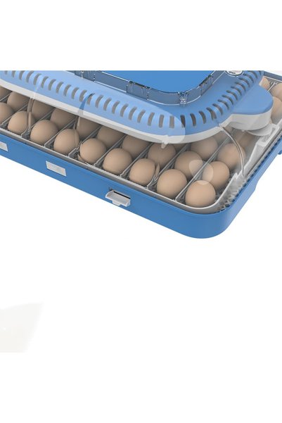 Altın Kuluçka 70 Yumurtalık Full Otomatik Kuluçka Makinesi