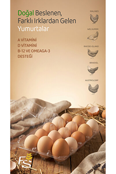 FS gıda Yumurta 15'li farklı Tavuk Irkları