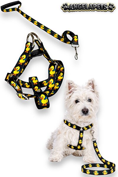 Angelapets Dog Chest Harness and Walking Strap Set