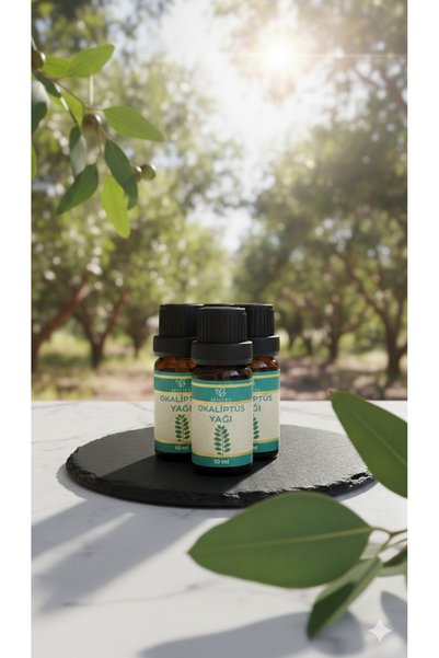 ALMEYA Pure Eucalyptus Oil 10 ml
