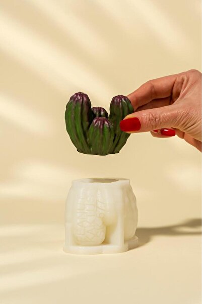 rufus concept Peanut Kaktüs Silikon Mum Kalıbı