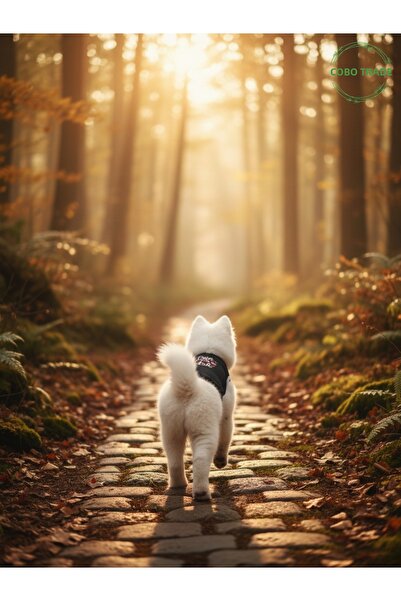 Gobo Paw Love Patterned Cat and Dog Outfit – Adorable Pet T-Shirt Dress, Diff...