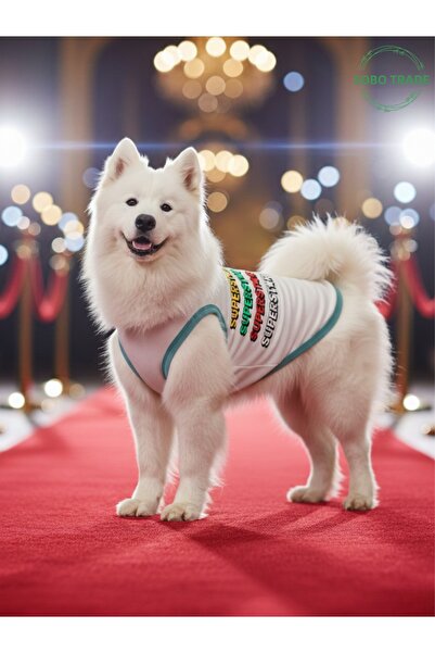 Gobo Superstar Patterned Cat and Dog Outfit – Colorful Cute Pet T-Shirt Dress...