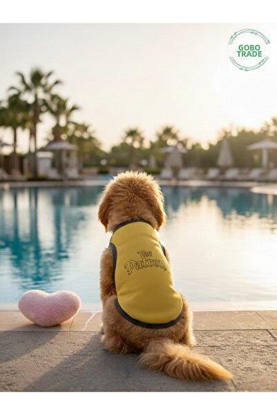 Gobo The Patron Patterned Cat and Dog Outfit–Cute Pet T-Shirt Dress, Differen...