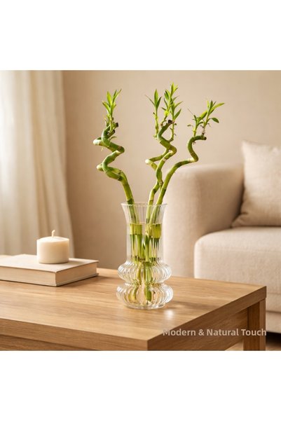 Amentes Vază decorativă model nou din sticlă translucidă