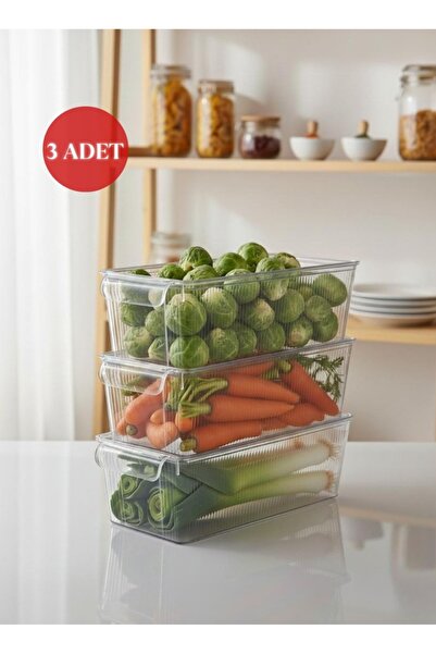 Okyanus Home 3 Adet Kapaklı Midi Buzdolabı Organizeri ve Saklama Kabı 3250ML