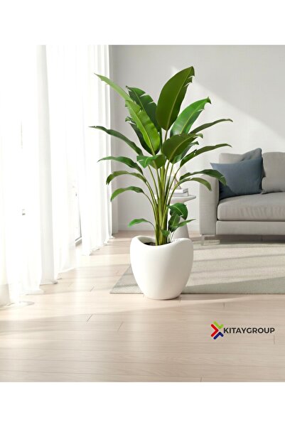 KıtayGroup Lale Saksı Dinazor Yumurtası Dekoratif Büyük boy Modern Salon ve B...