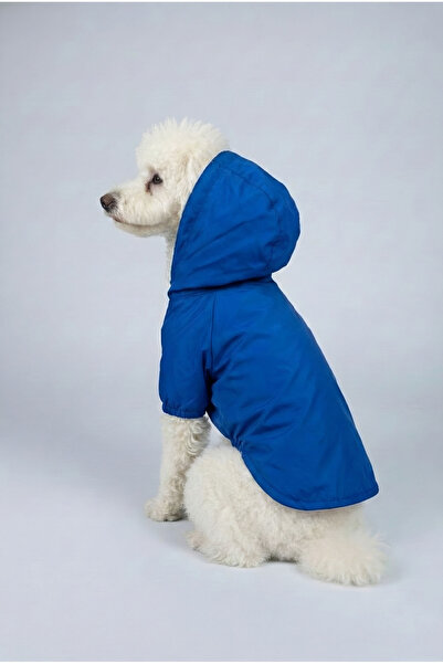 MPZ Pets زي وفستان وغطاء للمطر للقطط والكلاب - معطف واق من المطر شبكي أزرق من...