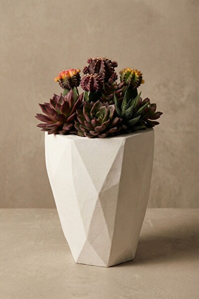 Evene Saksı Büyük Saksı Çiçek Saksısı Büyük Boy Saksı Salon Saksısı Model 9 B...