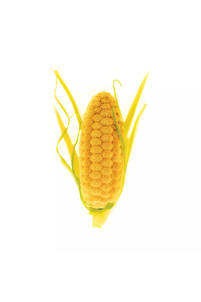 Empressco Silikomart Silicone Pastry & Cake Mold Corn Cob Pannocchia 20 Panno...