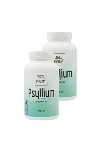 Güzel Ada Gıda Psyllium Karnıyarık Otu Tozu 2x250 gr