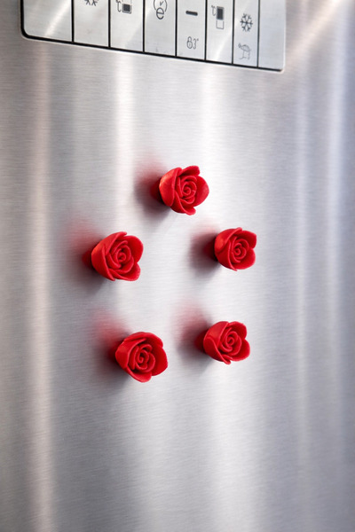 ovis outdoor Gül Magneti Buzdolabı Magneti Buzdolabı Süsü Mıknatıslı Dekorati...