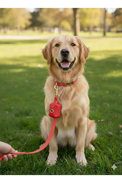 PAKEWAY 3 Parça Köpek Tasması ve Gezdirme Seti - Su Geçirmez - Rulo Dışkı Poş...