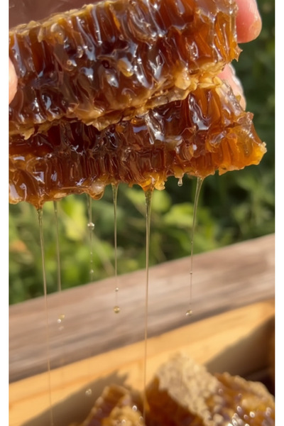 Balkovan Hakiki Karakovan Petek Balı 1.5 kg - Doğal Saf Yayla Balı