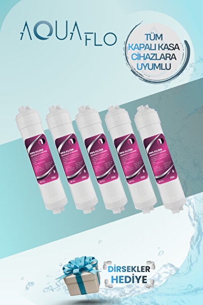 AQUAFLO Kapalı Kasa 12' PPS Filtre 5 Adet 1 Numara (MKR)