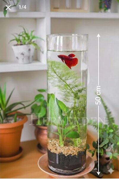 Heryerden El Imalati 50 Cm El Işciliği Silindir Vazo 3 Mm Cam Kalınlığında 1....