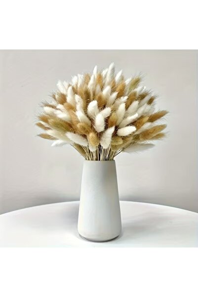 Dekora Çiçek باقة زهور ذيل الأرنب المجففة من عشبة القطن، زهرة لاجوروس طبيعية ...