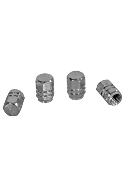 Carub Sibop Kapağı Krom 4 lü BR5531116
