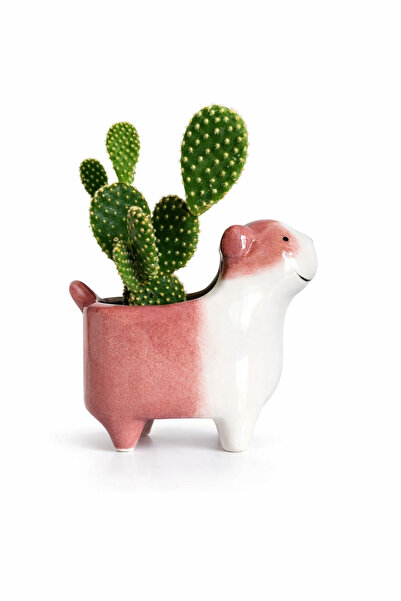 Warm Design Köpek Saksılık