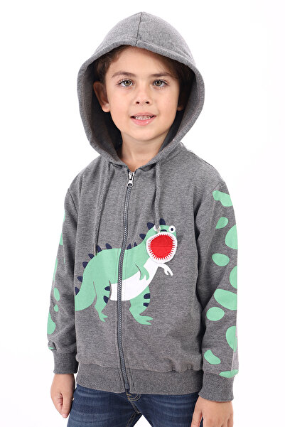 Toontoy Boy's Hooded Zippered Printed Knitted Cardigan - 2 Yarns