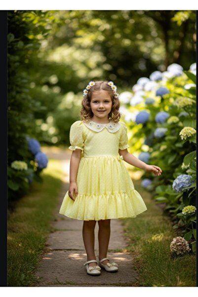 Gala rochie pentru copii cu dantelă pe guler cu pietre