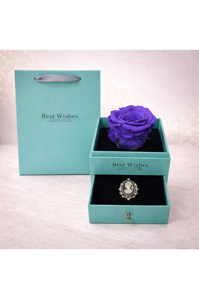 velve Cryogenic rose in turquoise box, with drawer and brooch, purple, Purple