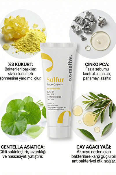 Cosmolive Nemlendirici Yüz Kremi | %3 Kükürt & Tea Tree | Akneye Eğilimli Cil...