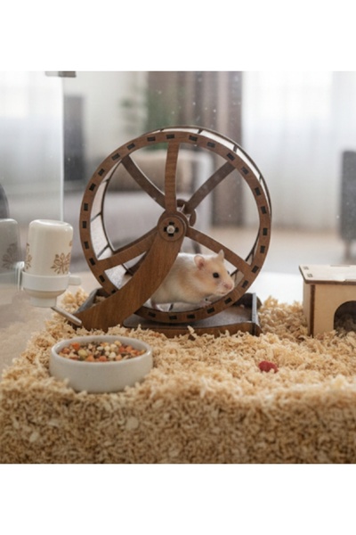 Genel Markalar Hamster Koşu Bandı(çark) kırmızı-yeşil-ahşap