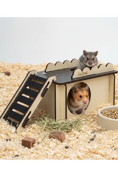 Rotipet Hamster Evi Küçük 8,5x13x8 Cm