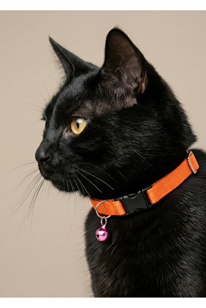 Turuncu Kedi Tasması Zilli (18-32cm)