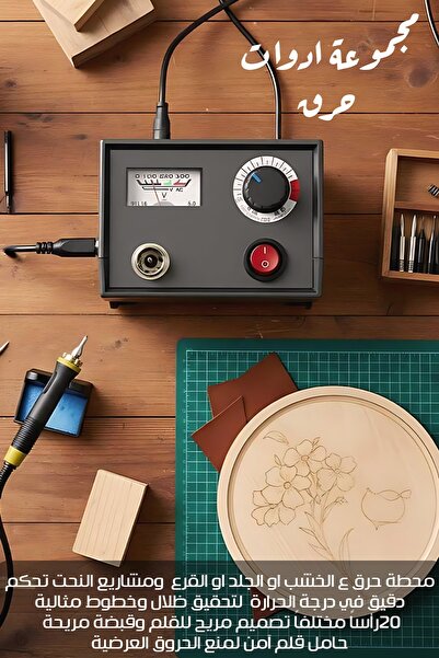 Generic مجموعة أدوات الحرق على الخشب الاحترافية LH30-Z | آلة الحرق على الخشب ...