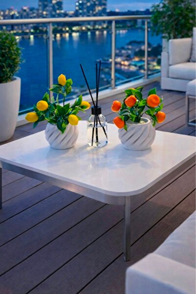 Dekor Oda kokulu mandalina ve limon ağacı