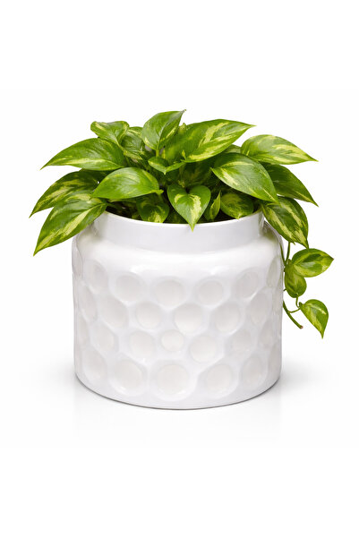 Warm Design Iki Ton Beyaz Cam Mum Vazo