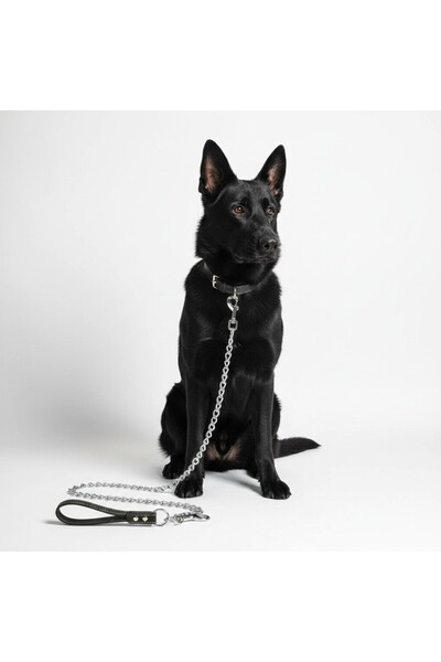 SyaMAG Lesa din lant cromat, pentru caini de talie mare, maner negru din piel...